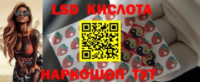 сатива Краснодар
